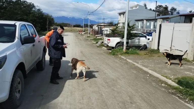 Labraron 18 actas de infracción por perros sueltos en el barrio Río Pipo