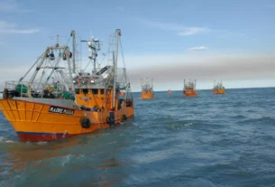 Gremios navales declararon el estado de alerta por el aumento del canon pesquero del langostino