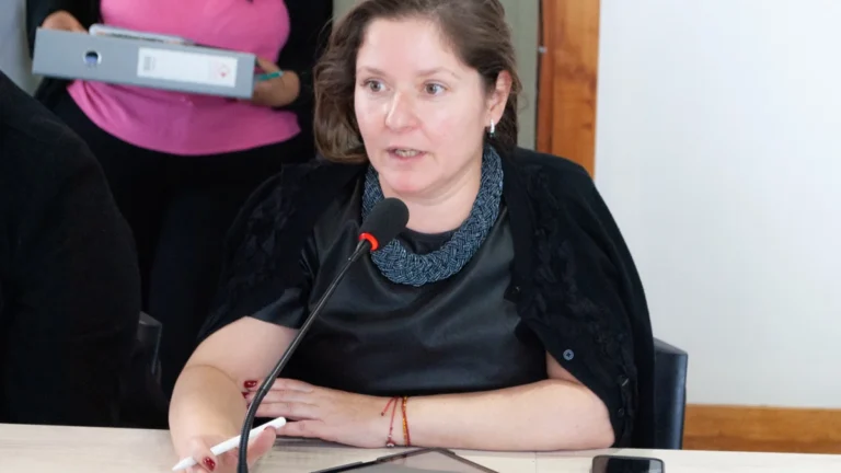 Freiberger expuso detalles del proyecto tarifario y planteó inquietudes por su impacto en vecinos