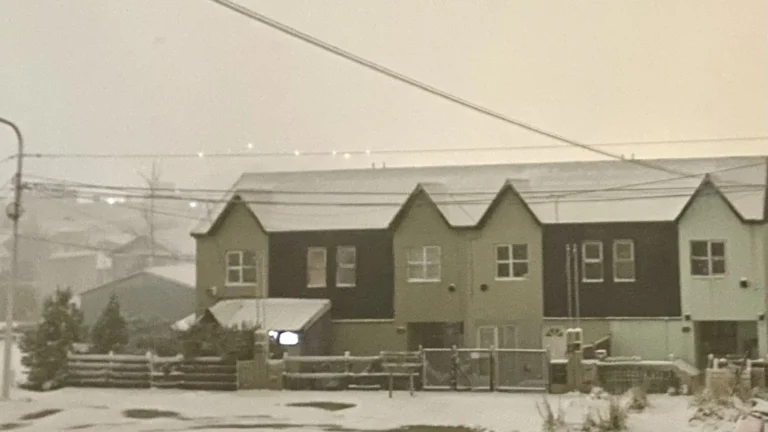 Cayó nieve y diferentes barrios de Ushuaia están sin luz