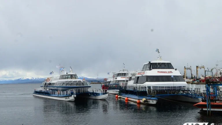 Brisighelli advirtió que el puerto de Ushuaia llega al verano sin soluciones tras la clausura del muelle de catamaranes