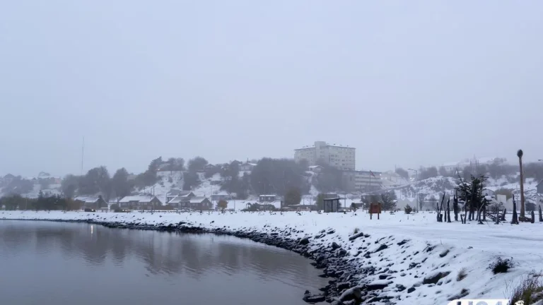 Cae nieve en Ushuaia mientras persiste una alerta amarilla en Ushuaia